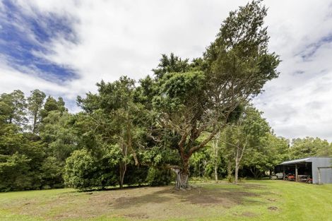 Photo of property in 213 Te Whiti Road, Homebush, Masterton, 5885