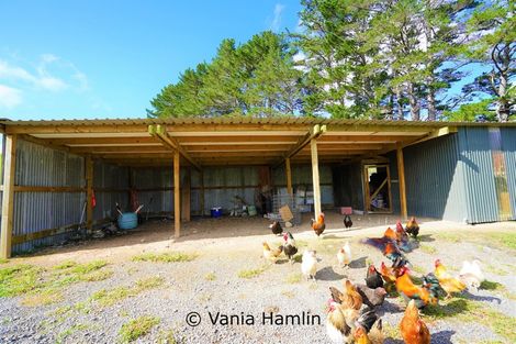 Photo of property in 533 Pataua South Road, Pataua South, Onerahi, 0192