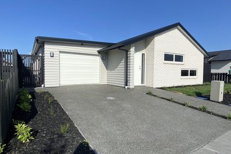 Photo of property in 15 Naismith Street, Chartwell, Hamilton, 3210