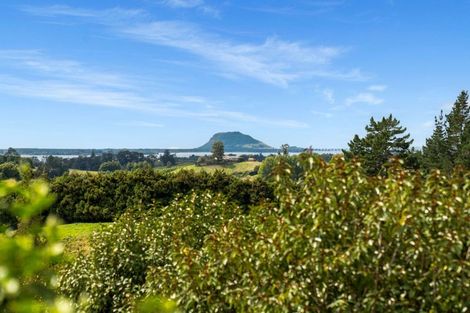 Photo of property in 233 Waipapa Block Road, Whakamarama, Tauranga, 3180