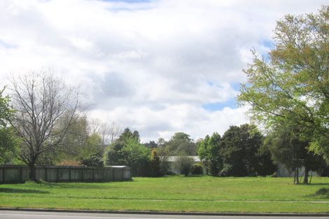 Photo of property in 165 State Highway 1, Waitahanui, Taupo, 3378