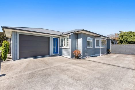Photo of property in 36 Lincoln Avenue, Epuni, Lower Hutt, 5011