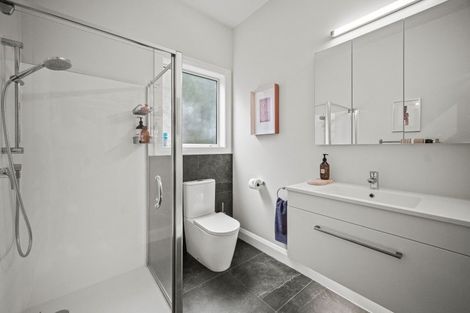 Photo of property in 21 Lloyd Avenue, Mount Albert, Auckland, 1025