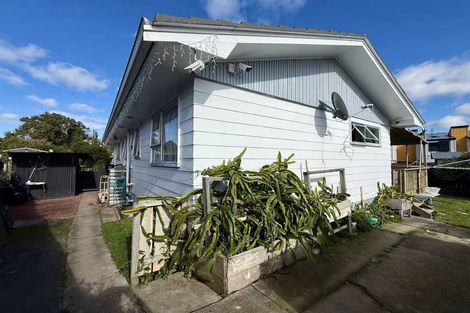 Photo of property in 38 Larissa Avenue, Henderson, Auckland, 0610