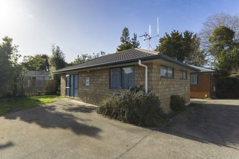Photo of property in 22a Bruce Avenue, Glenview, Hamilton, 3206