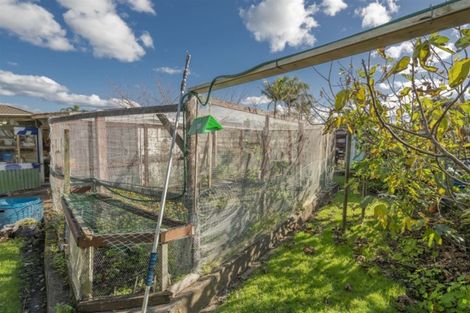 Photo of property in 33 Cook Drive, Whitianga, 3510