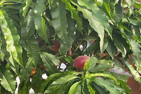 Photo of property in 37 Grey Street, Shannon, 4821