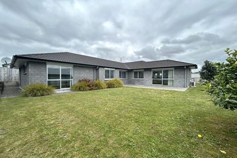 Photo of property in 17 Materawaho Way, Pyes Pa, Tauranga, 3112