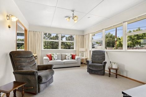Photo of property in 53 Catherine Crescent, Paparangi, Wellington, 6037