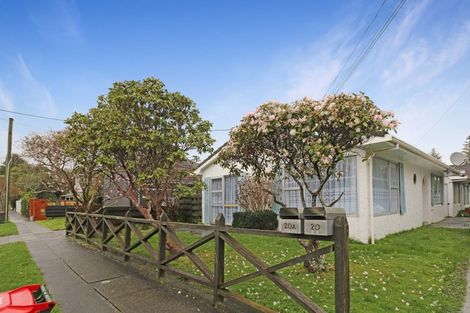 Photo of property in 20 Marina Grove, Hutt Central, Lower Hutt, 5010