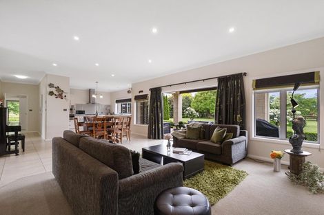 Photo of property in 36 Everad Avenue, Matamata, 3472