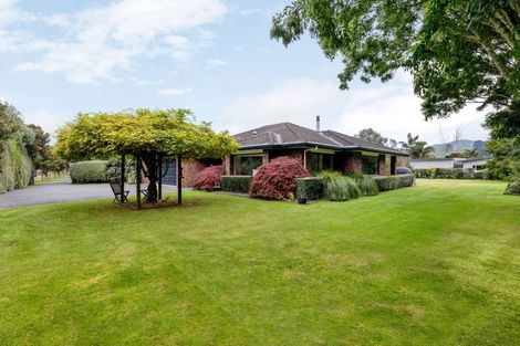 Photo of property in 6 Mangauika Road, Pirongia, Te Awamutu, 3876