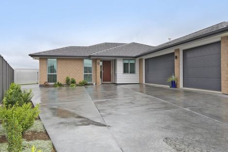 Photo of property in 20 Lochhead Street, Mahora, Hastings, 4120