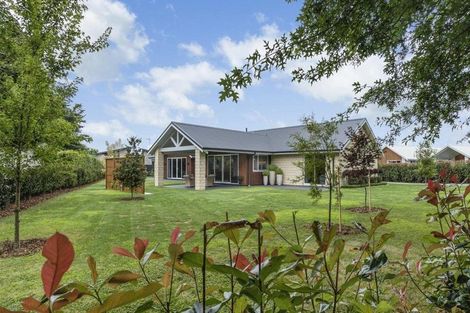 Photo of property in 11 Eldonwood Drive, Matamata, 3400
