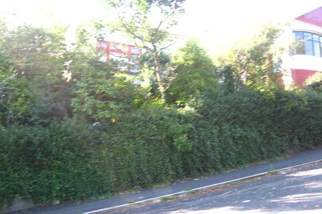 Photo of property in 51 Mechanic Street, North East Valley, Dunedin, 9010