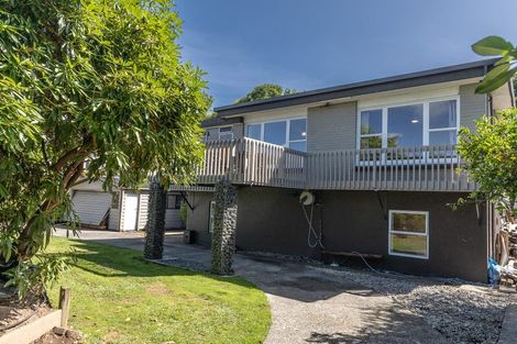 Photo of property in 16 Riverview Terrace, Fairfield, Hamilton, 3214