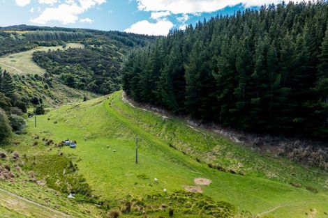 Photo of property in 292 Waipori Falls Road, Berwick, Outram, 9073