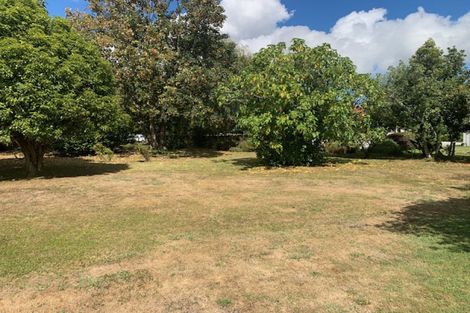 Photo of property in 46 Keepa Street, Levin, 5510