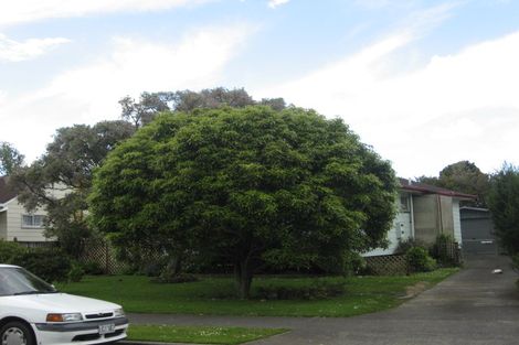 Photo of property in 80 John Walker Drive, Manurewa, Auckland, 2102