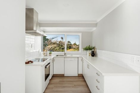 Photo of property in 62 Bell Street, Judea, Tauranga, 3110