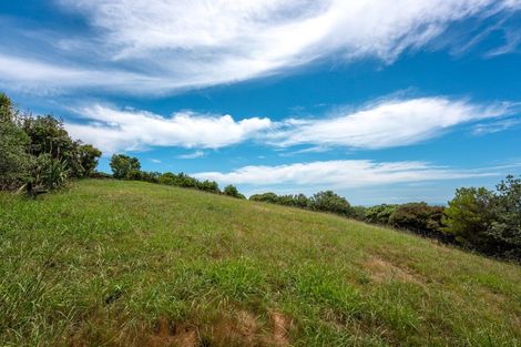 Photo of property in 155 Delamore Drive, Oneroa, Waiheke Island, 1081