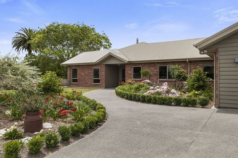 Photo of property in 165 Buckland Road, Matamata, 3472