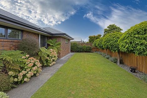 Photo of property in 257 Scott Street, Redwoodtown, Blenheim, 7201