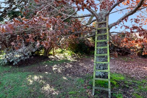 Photo of property in 145 Whitby Road, Wakefield, 7025