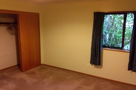 Photo of property in 3 Merlin Street, Roslyn, Dunedin, 9010