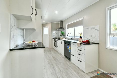 Photo of property in 60 Wakefield Road, Favona, Auckland, 2024