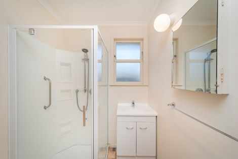 Photo of property in 144 Limbrick Street, Terrace End, Palmerston North, 4410