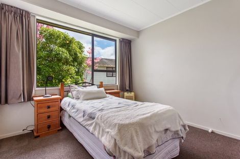 Photo of property in 169 George Street, Tuakau, 2121