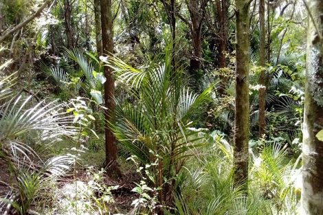 Photo of property in 108 Garbolino Road, Mangawhai, Kaiwaka, 0573