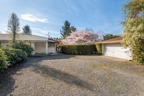 Photo of property in 38 Weld Street, Oxford, 7430