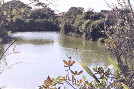 Photo of property in 40 Mahoney Drive, Albany, Auckland, 0632