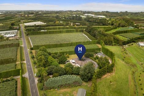 Photo of property in 116 Tuapiro Road, Tahawai, Katikati, 3170