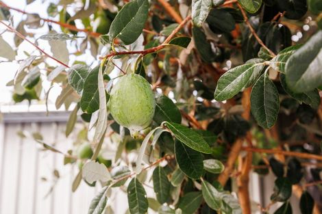 Photo of property in 77b Guy Avenue, Takaro, Palmerston North, 4410