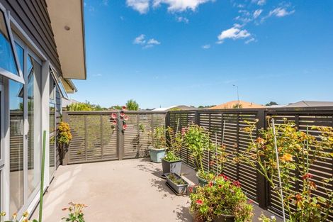 Photo of property in 24 Barry Curtis Place, Levin, 5510