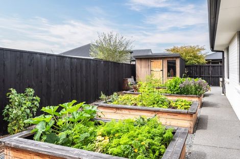 Photo of property in 3 Springbrook Close, Rangiora, 7400