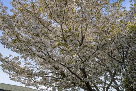 Photo of property in 74 Oakfield Crescent, Pukete, Hamilton, 3200