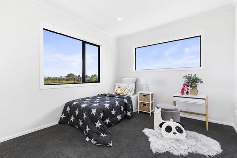 Photo of property in 45 Trewern Avenue, Chartwell, Hamilton, 3210