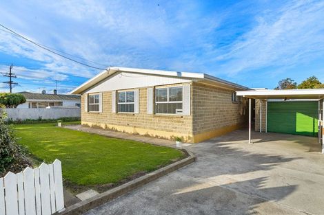 Photo of property in 207 Scott Street, Redwoodtown, Blenheim, 7201