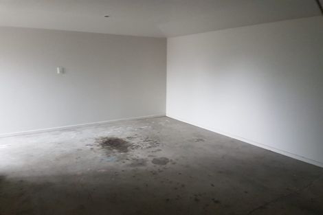 Photo of property in 36c Braddon Street, Addington, Christchurch, 8024