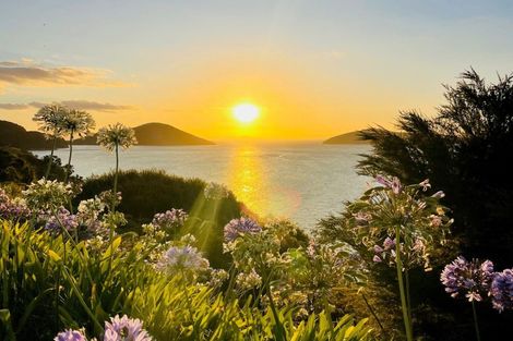 Photo of property in 1980 Wyuna Bay Road, Wyuna Bay, Coromandel, 3581