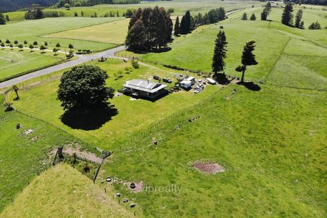 Photo of property in 254 Rawhiti Road, Reporoa, 3081