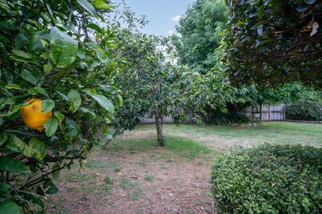 Photo of property in 251 Shakespeare Street, Leamington, Cambridge, 3432