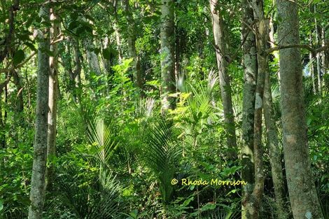 Photo of property in 47 Andrae Lane, Maungaturoto, 0587