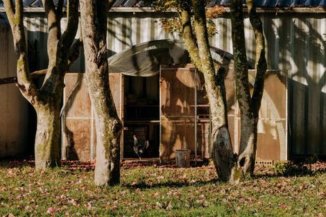 Photo of property in 1164 Maniatutu Road, Pongakawa, Te Puke, 3186