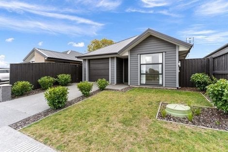 Photo of property in 29 Mills Road, Marshland, Christchurch, 8051