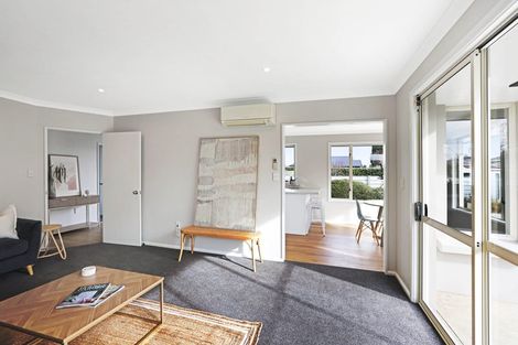 Photo of property in 90a Chalmers Avenue, Hampstead, Ashburton, 7700